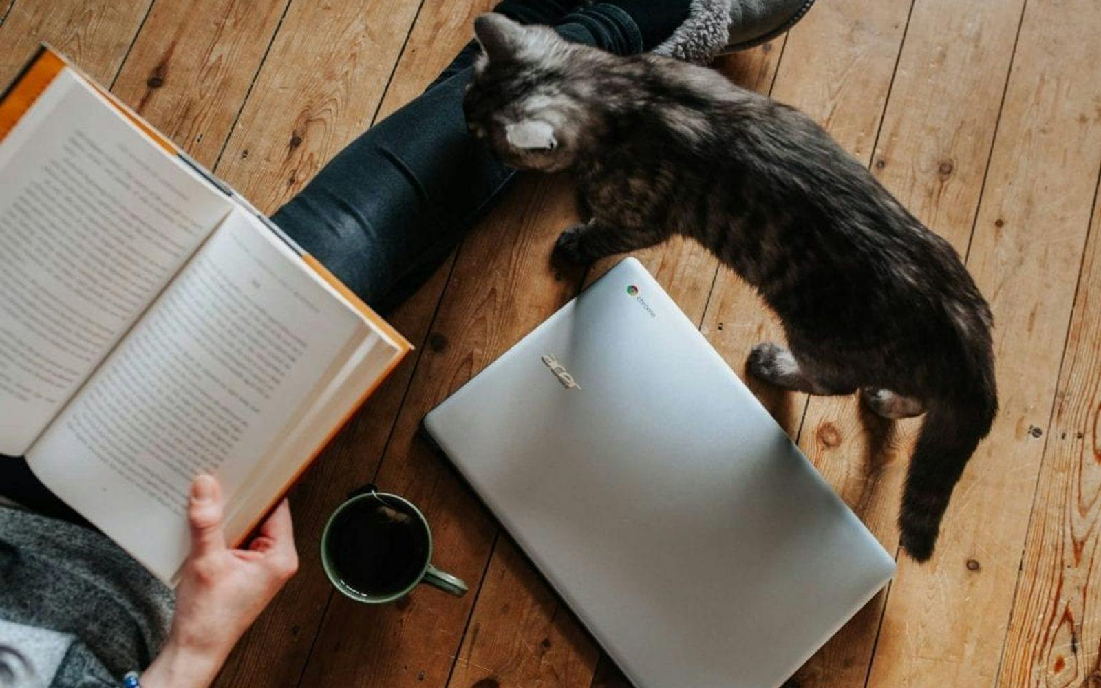 En som leser en bok med en katt og laptop på gulvet