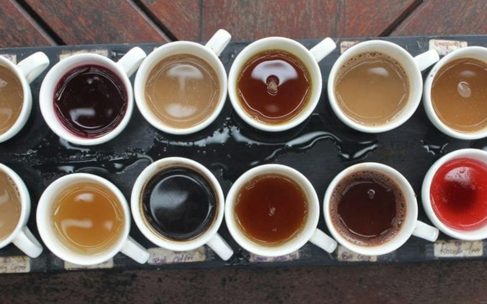 Kaffekopper med et mangfold av fargerikt innhold